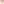 Just Click - MRH-201 - Highlighter Medium Nib Vivid Colours