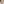 Suatelier Plain Stickers - Plain