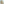 Suatelier Plain Stickers - Plain